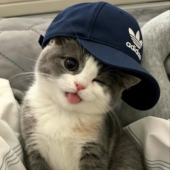 rurrico